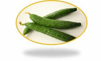 四月天吃瓜视频,热门视频盘点与幕后揭秘