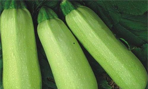 热门吃瓜长视频盘点,揭秘娱乐圈幕后真相