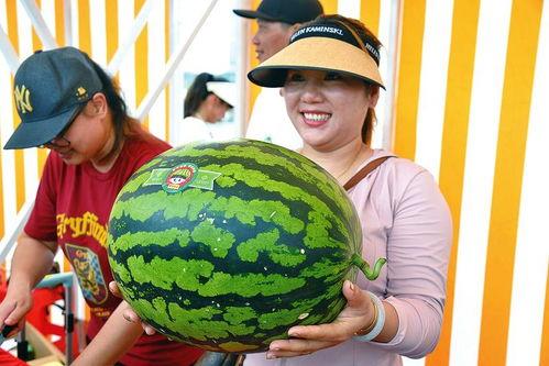 快乐的吃瓜视频,揭秘快乐吃瓜视频的魅力