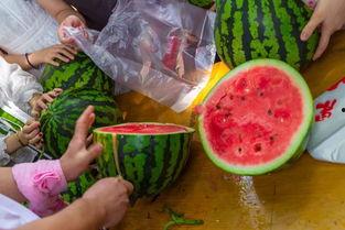 柳州吃瓜网最新视频,网红美食背后的秘密大曝光！