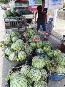 金湖公园吃瓜事件视频,一场引发热议的公共冲突瞬间