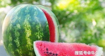 老外吃石缝瓜视频大全集,老外挑战极限美食之旅