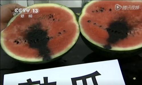 专插本吃瓜视频,吃瓜视频背后的真实故事